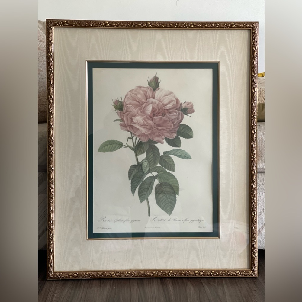 Rose Damascena and The Rose framed art by The Bombay Company